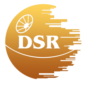 DSR Bot